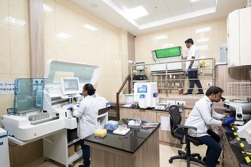 lab